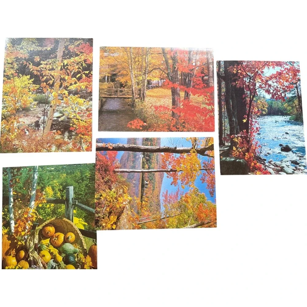 Autumn Gold Heartland Classic Birthday Cards Fall Foliage Scenery Lot of 5 USA
